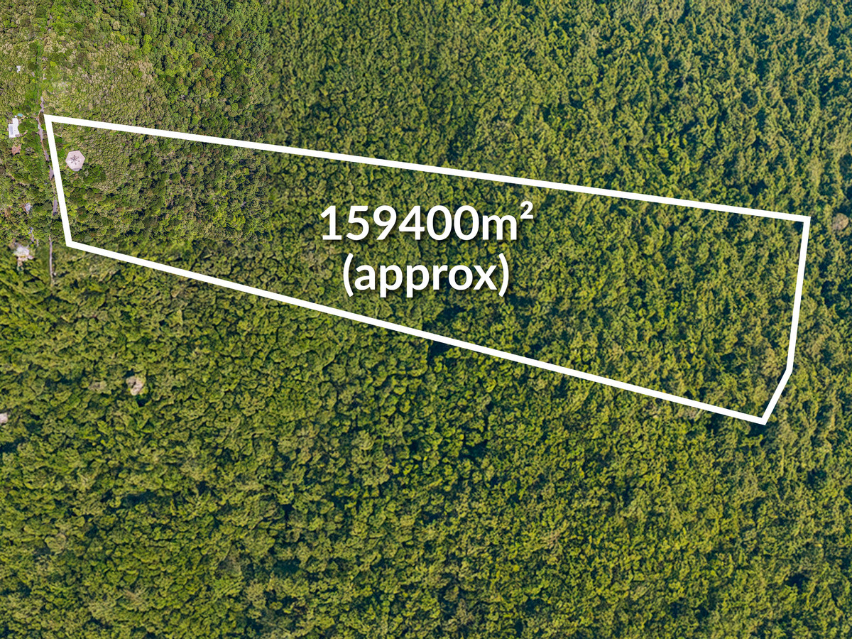312 Repeater Station Road