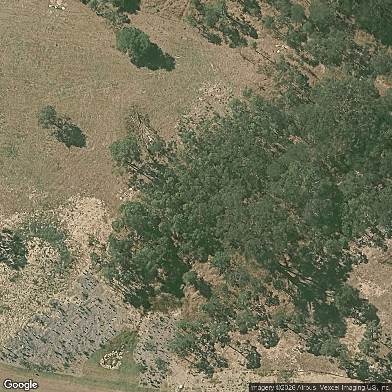 Aerial view of 74 Miandetta Drive, Advancetown QLD 4211