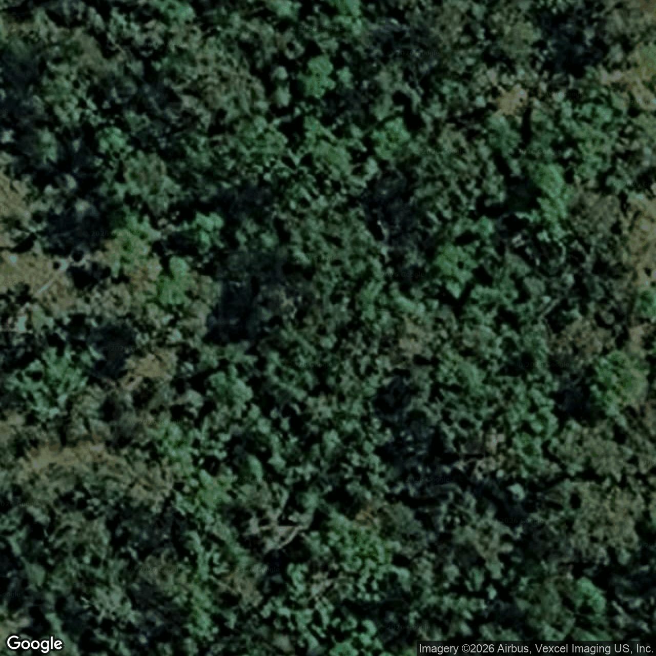 Aerial view of 14 Parkway Drive, Advancetown QLD 4211