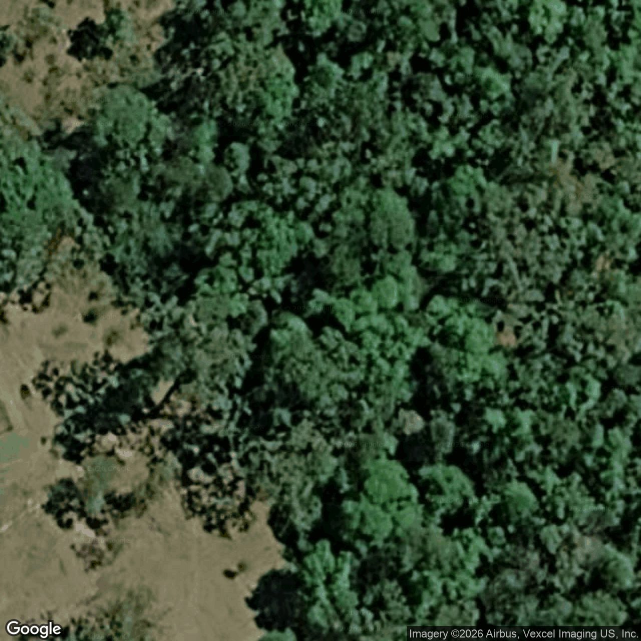 Aerial view of 63 Tallowwood Road, Austinville QLD 4213