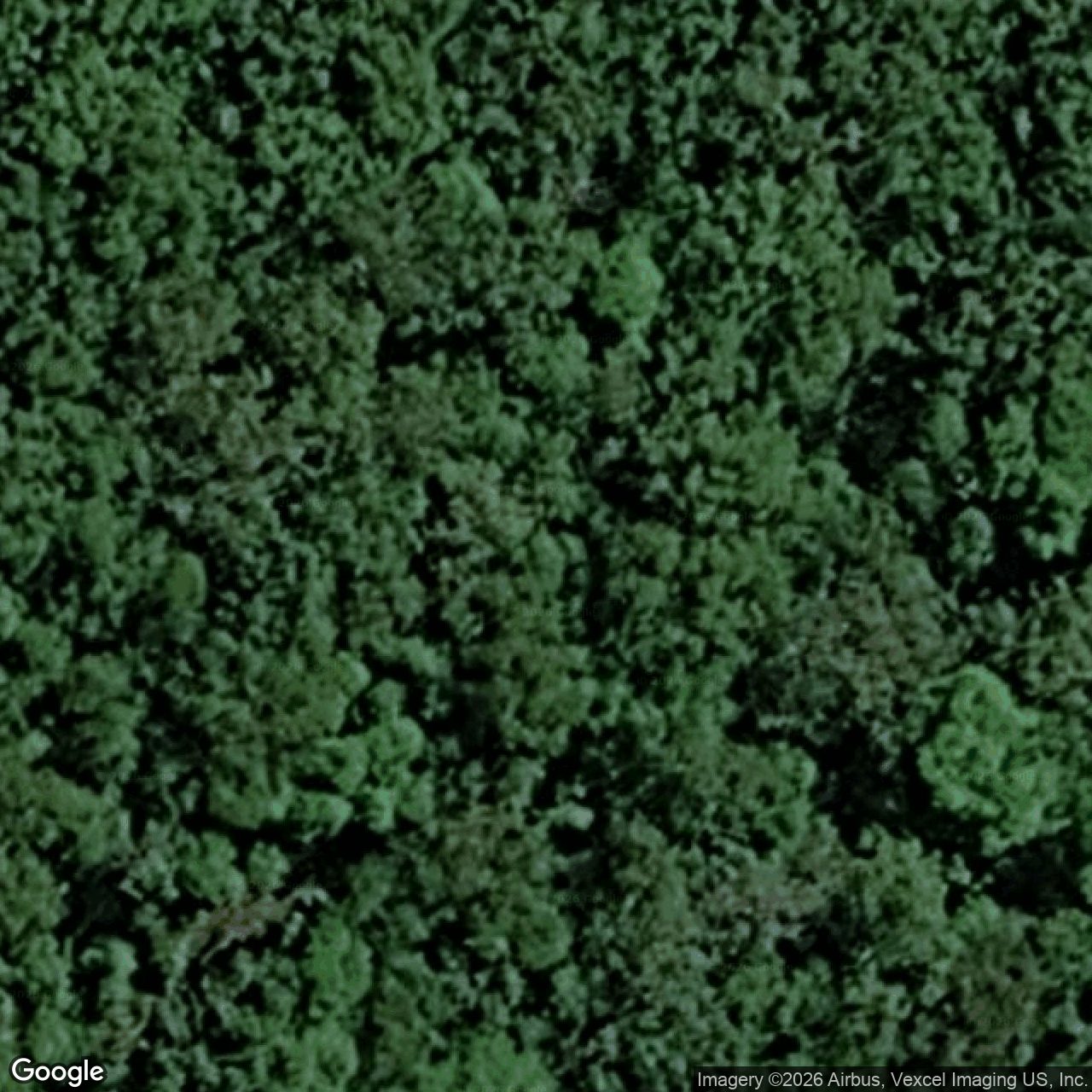 Aerial view of 449 Mount Nimmel Road, Austinville QLD 4213