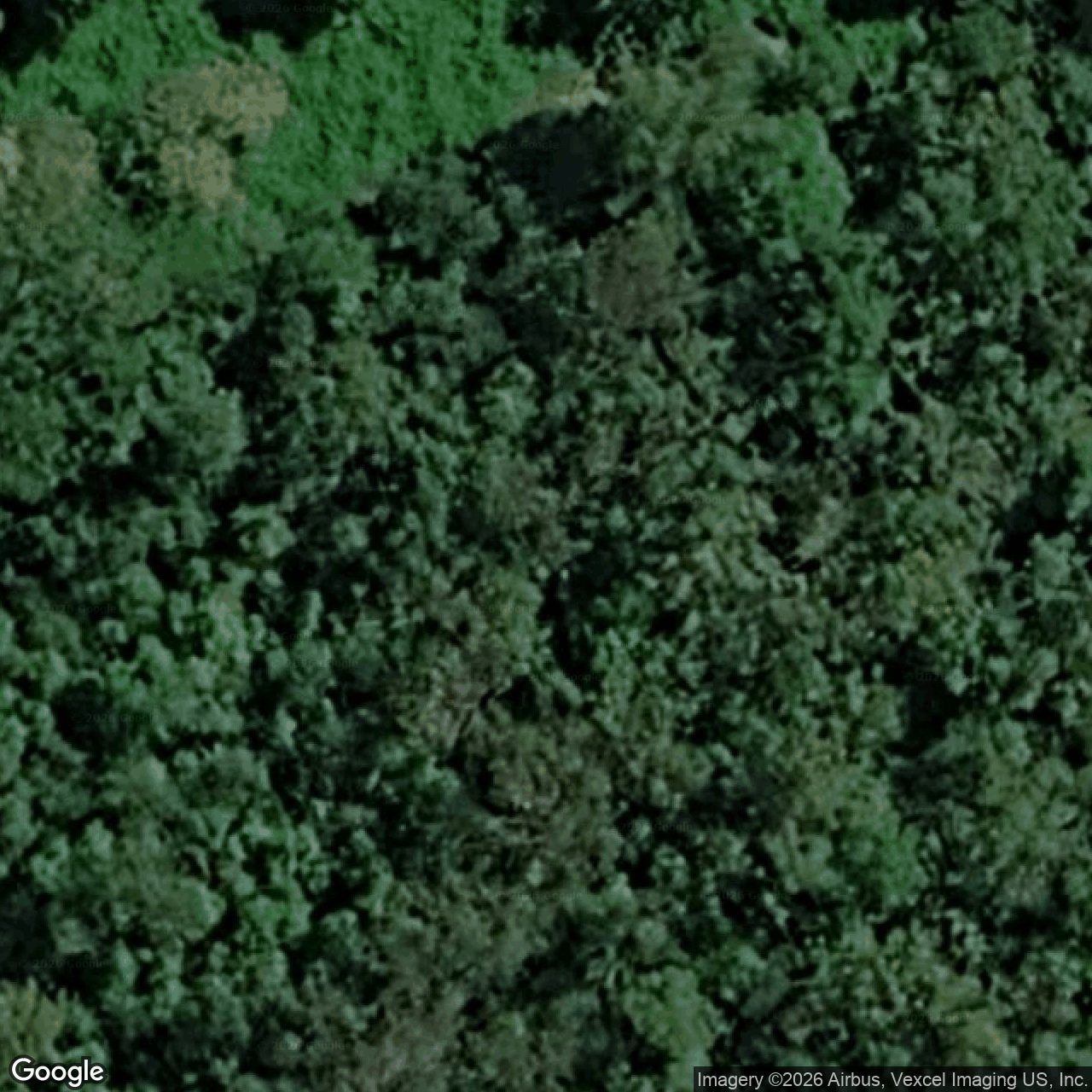 Aerial view of 44 Staghorn Drive, Austinville QLD 4213