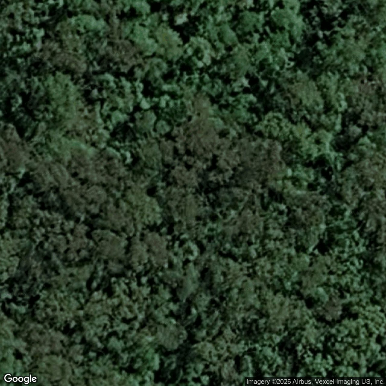 Aerial view of 70 Staghorn Drive, Austinville QLD 4213