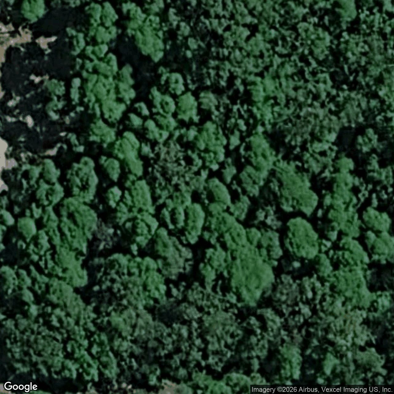Aerial view of 93C Austinville Road, Austinville QLD 4213