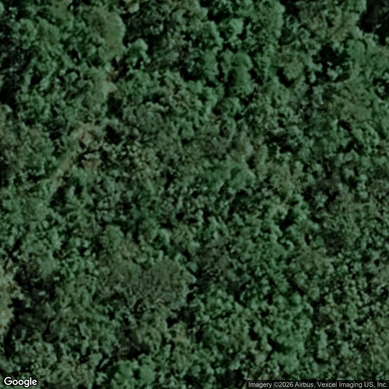 Aerial view of 116 Staghorn Drive, Austinville QLD 4213