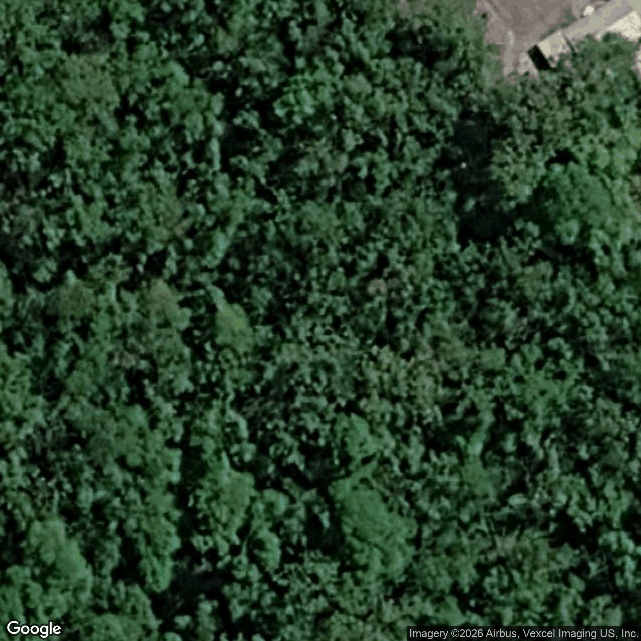 Aerial view of 141 Staghorn Drive, Austinville QLD 4213