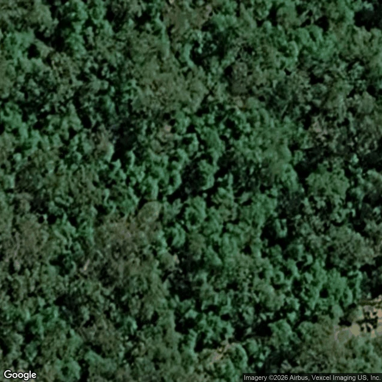 Aerial view of 94 Staghorn Drive, Austinville QLD 4213