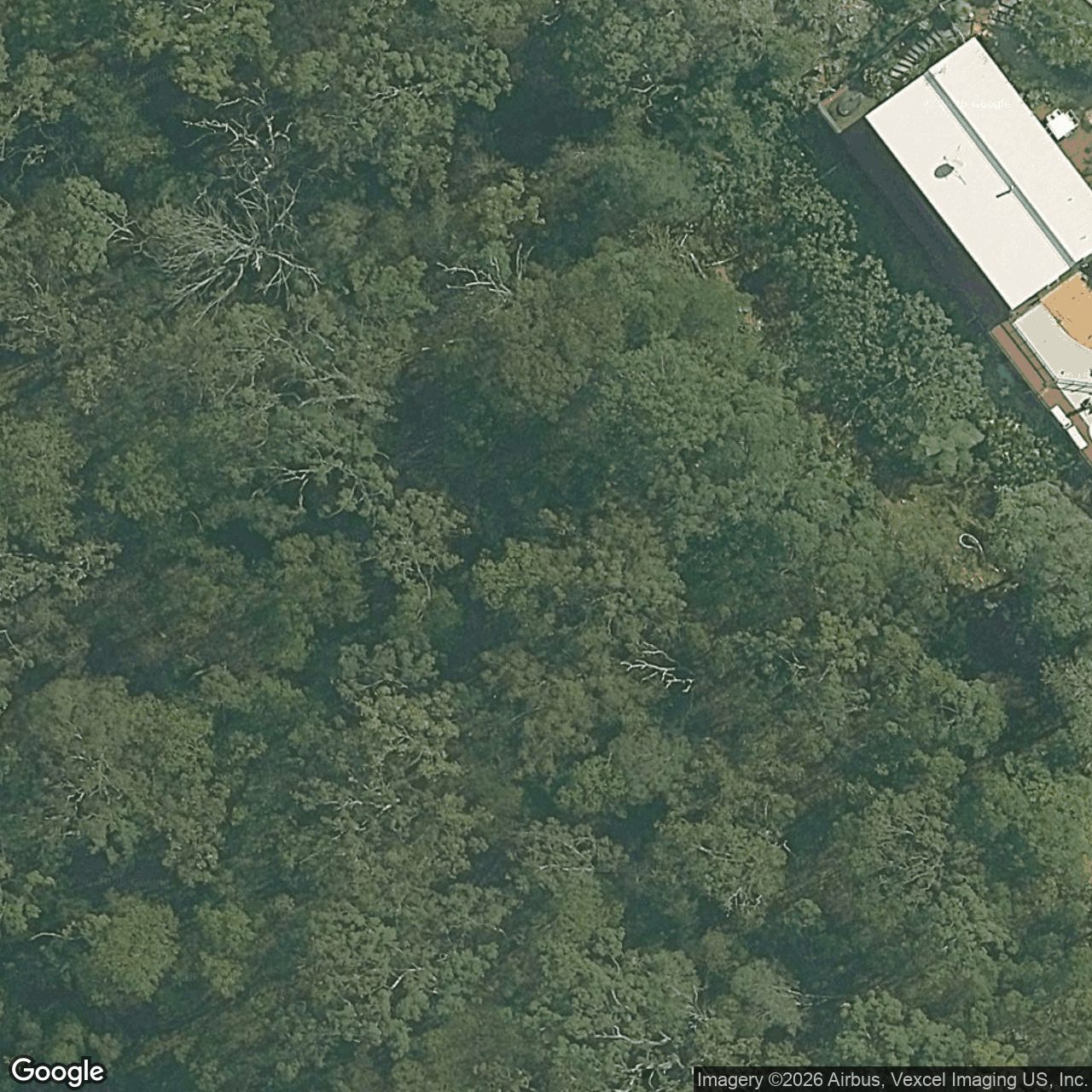 Aerial view of 52 Saunders Drive, Bonogin QLD 4213