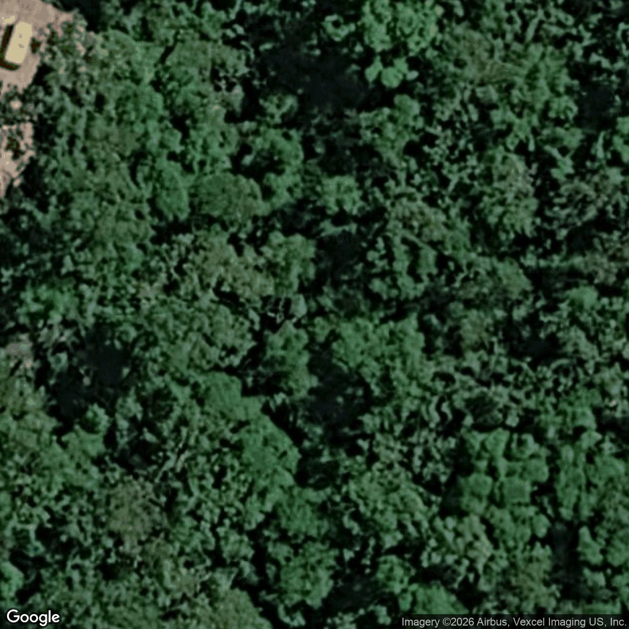 Aerial view of 44 Camp Drive, Bonogin QLD 4213