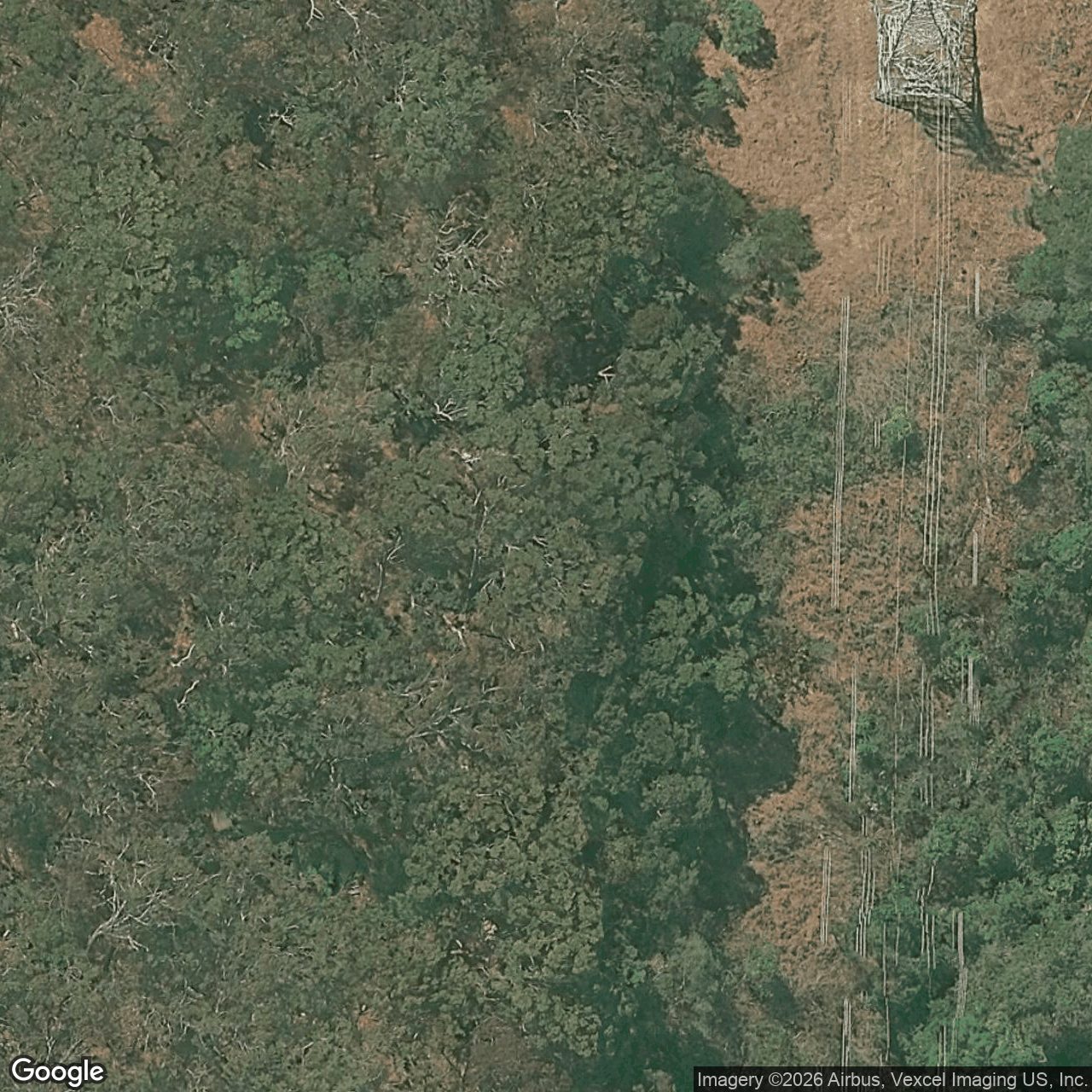 Aerial view of 72 Brackenfield Court, Bonogin QLD 4213