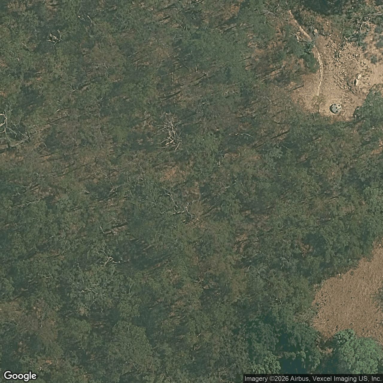 Aerial view of 109 Strawberry Road, Bonogin QLD 4213