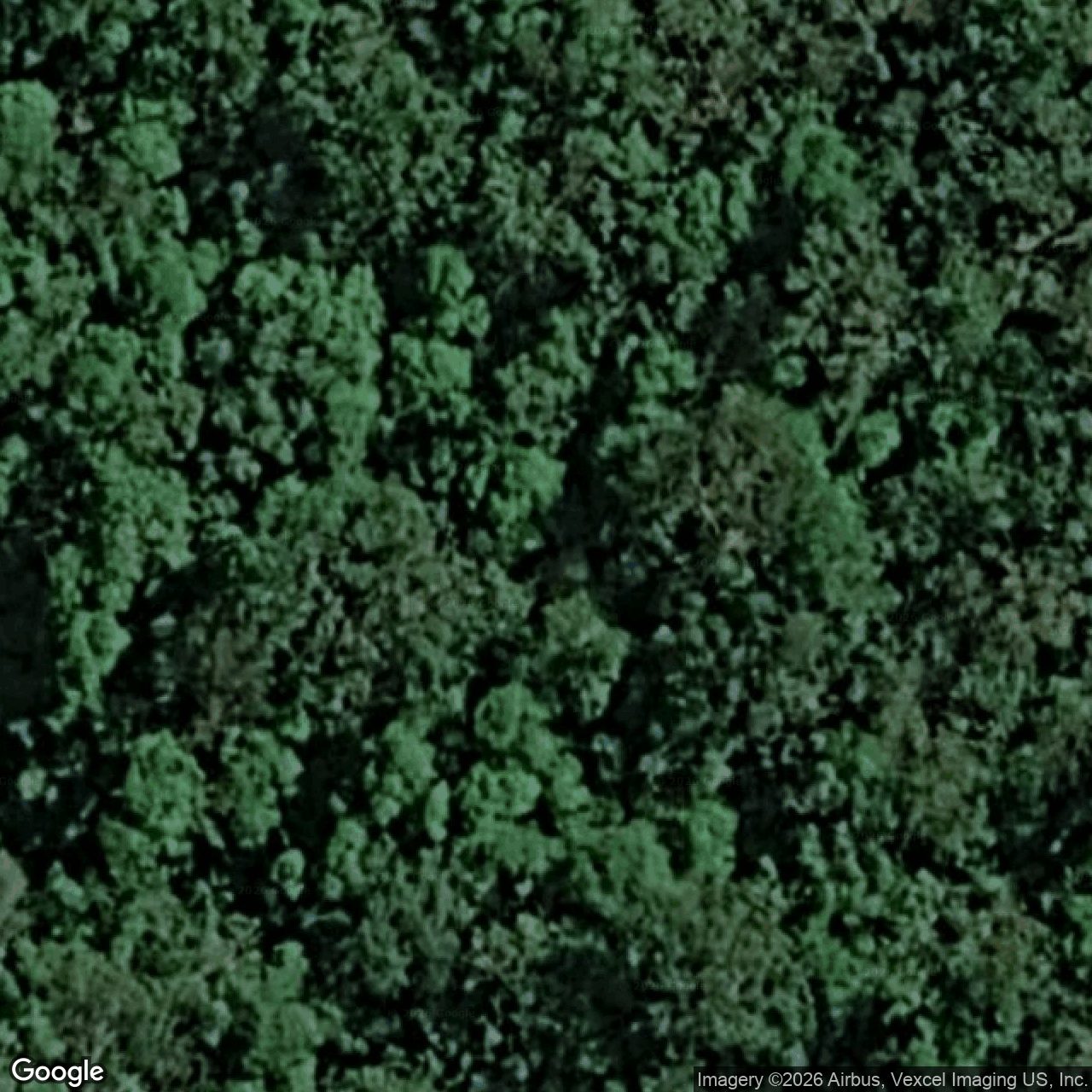 Aerial view of 10 Koda Court, Bonogin QLD 4213