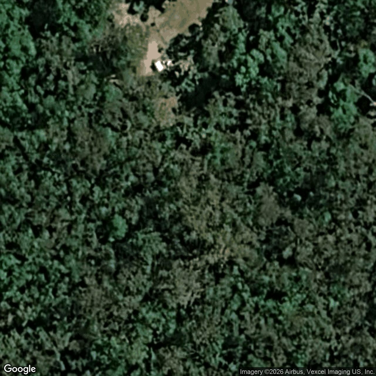 Aerial view of 21 Waratah Court, Bonogin QLD 4213