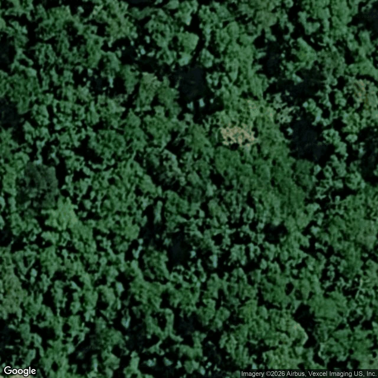 Aerial view of 63 Broadoak Court, Bonogin QLD 4213