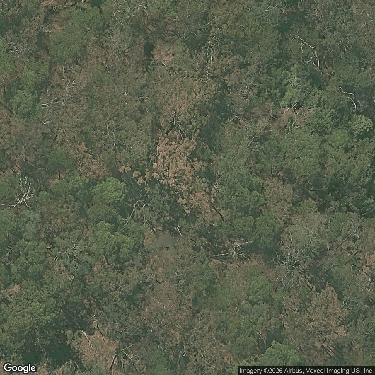 Aerial view of 123 Chesterfield Drive, Bonogin QLD 4213