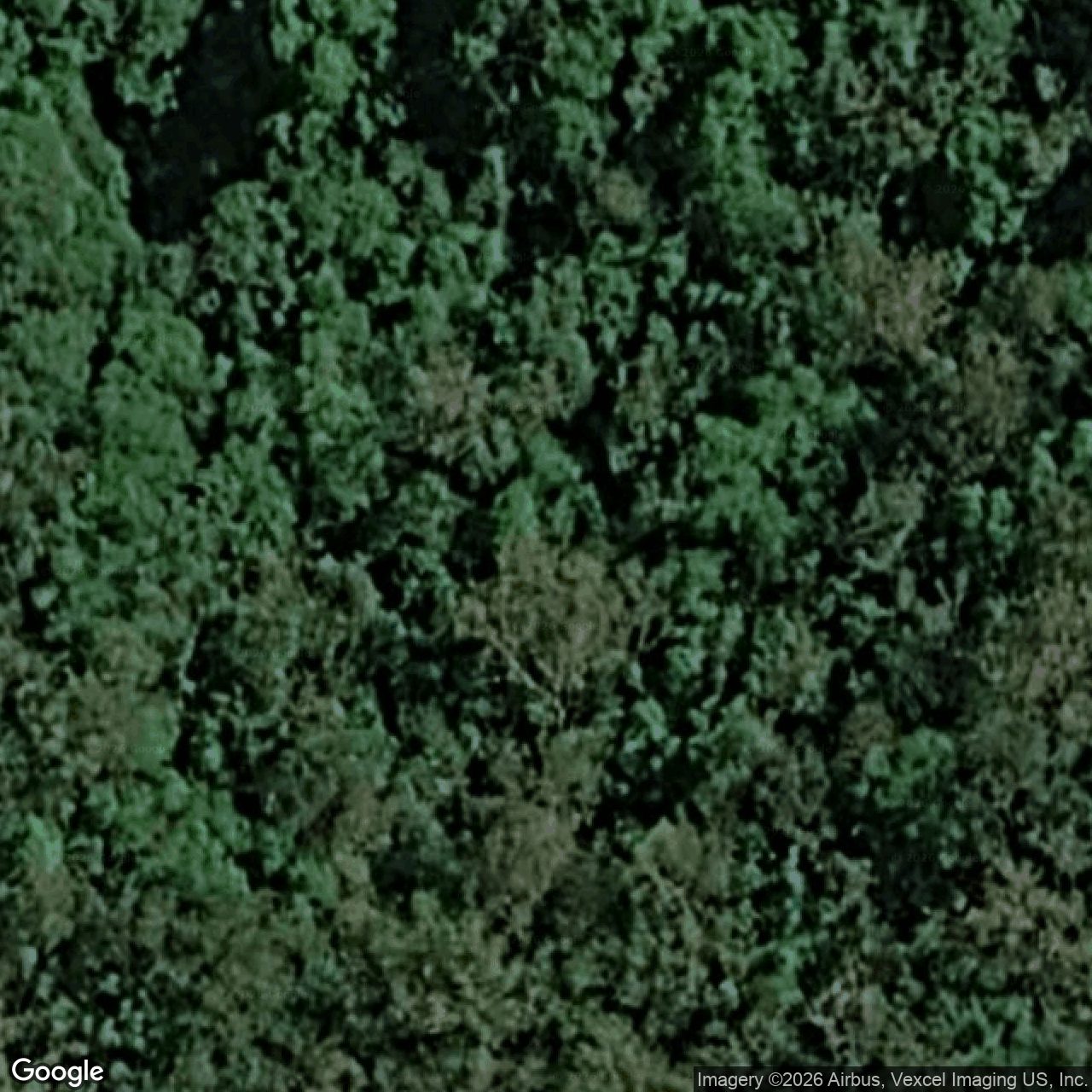 Aerial view of 7 Koda Court, Bonogin QLD 4213