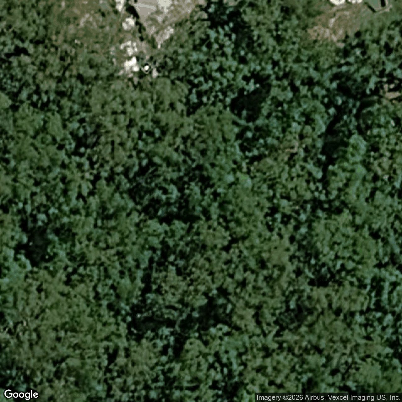 Aerial view of 24 Tanaka Avenue, Bonogin QLD 4213