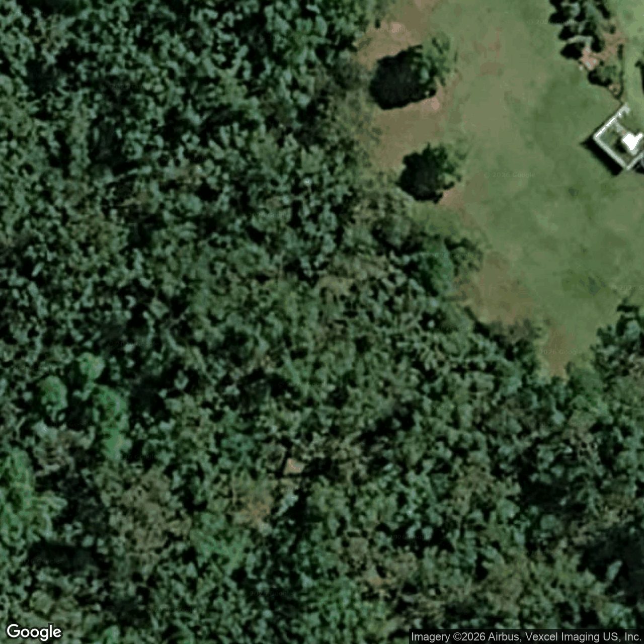 Aerial view of 50 Bush Swallow Road, Bonogin QLD 4213