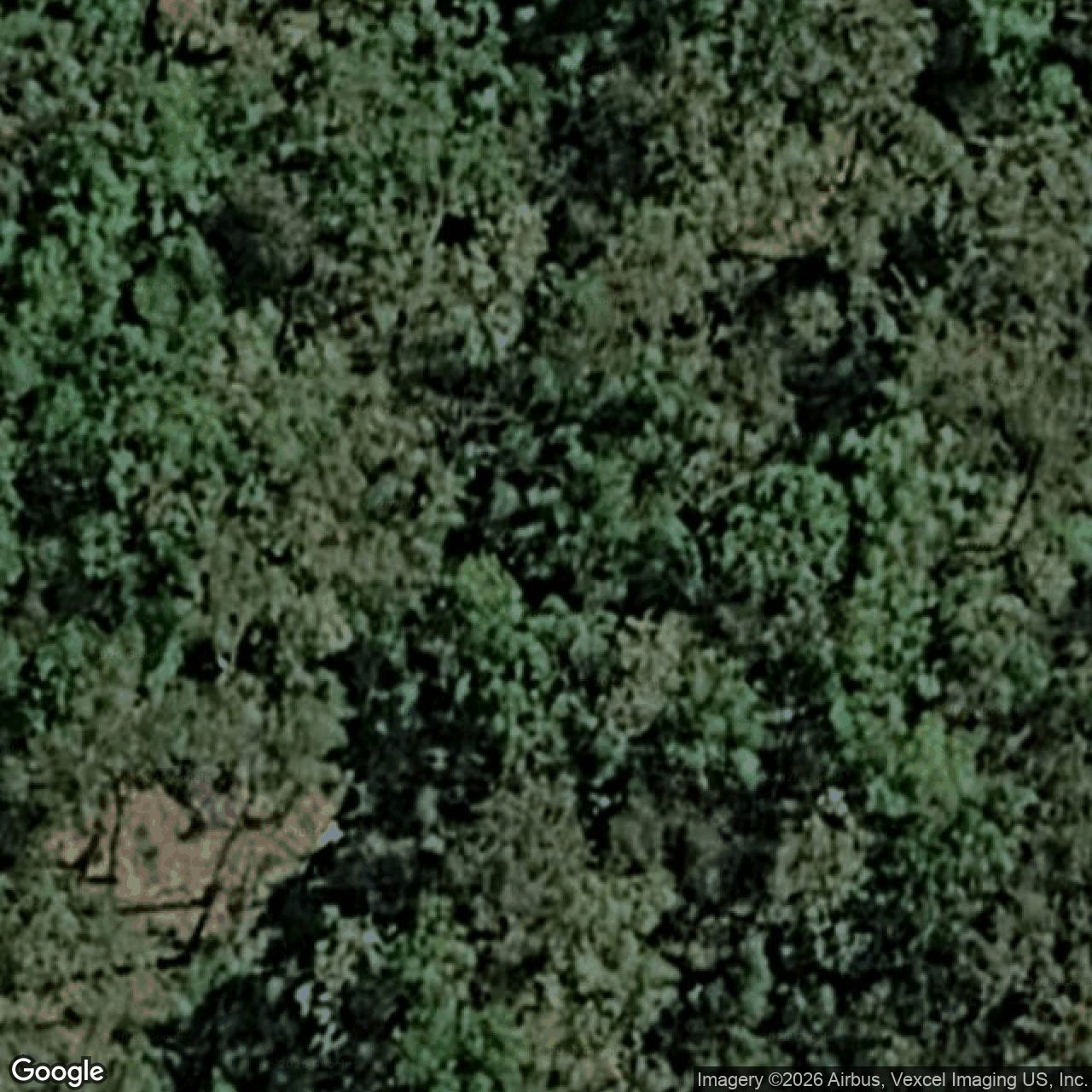 Aerial view of 30 Lomatia Court, Bonogin QLD 4213
