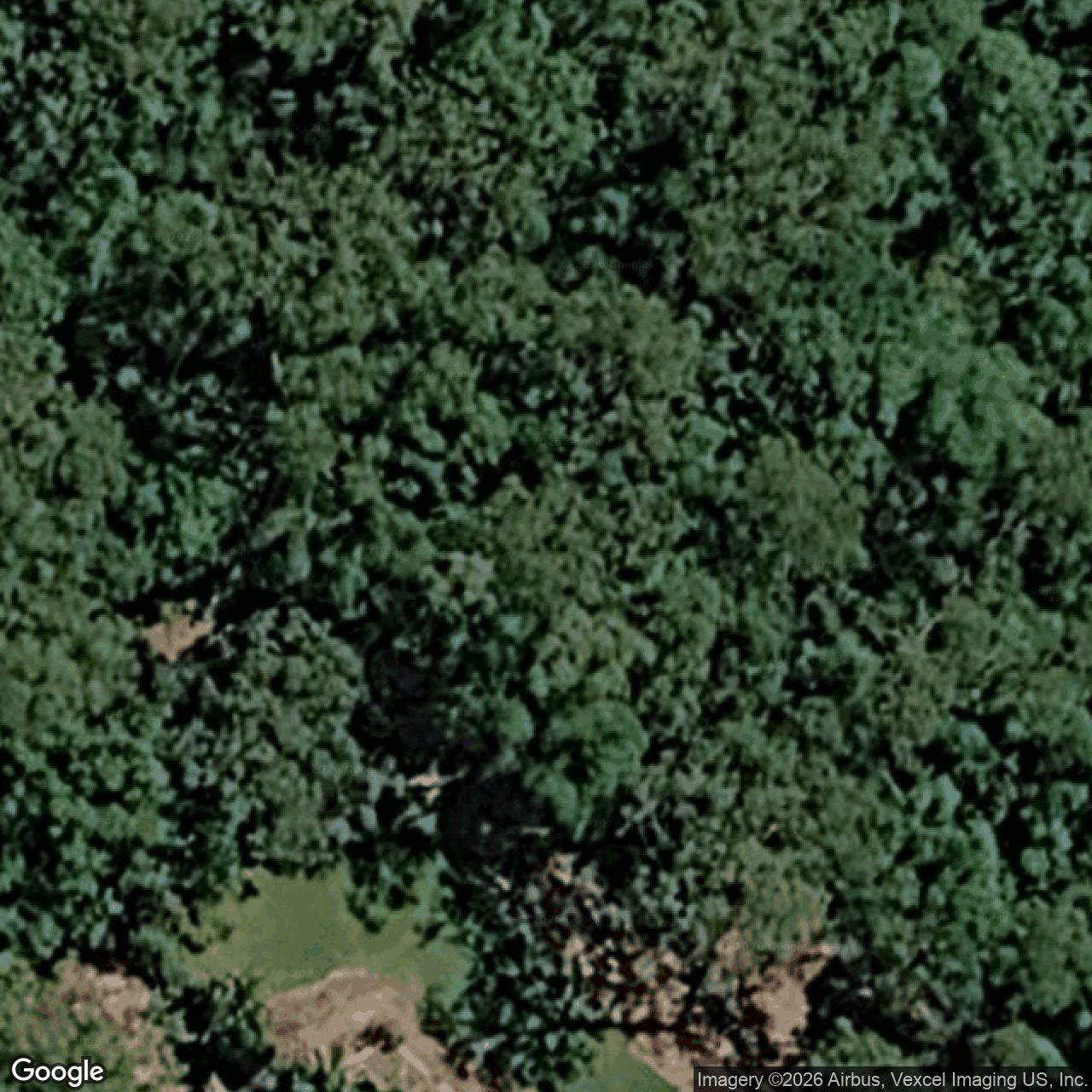 Aerial view of 29 Glider Court, Bonogin QLD 4213