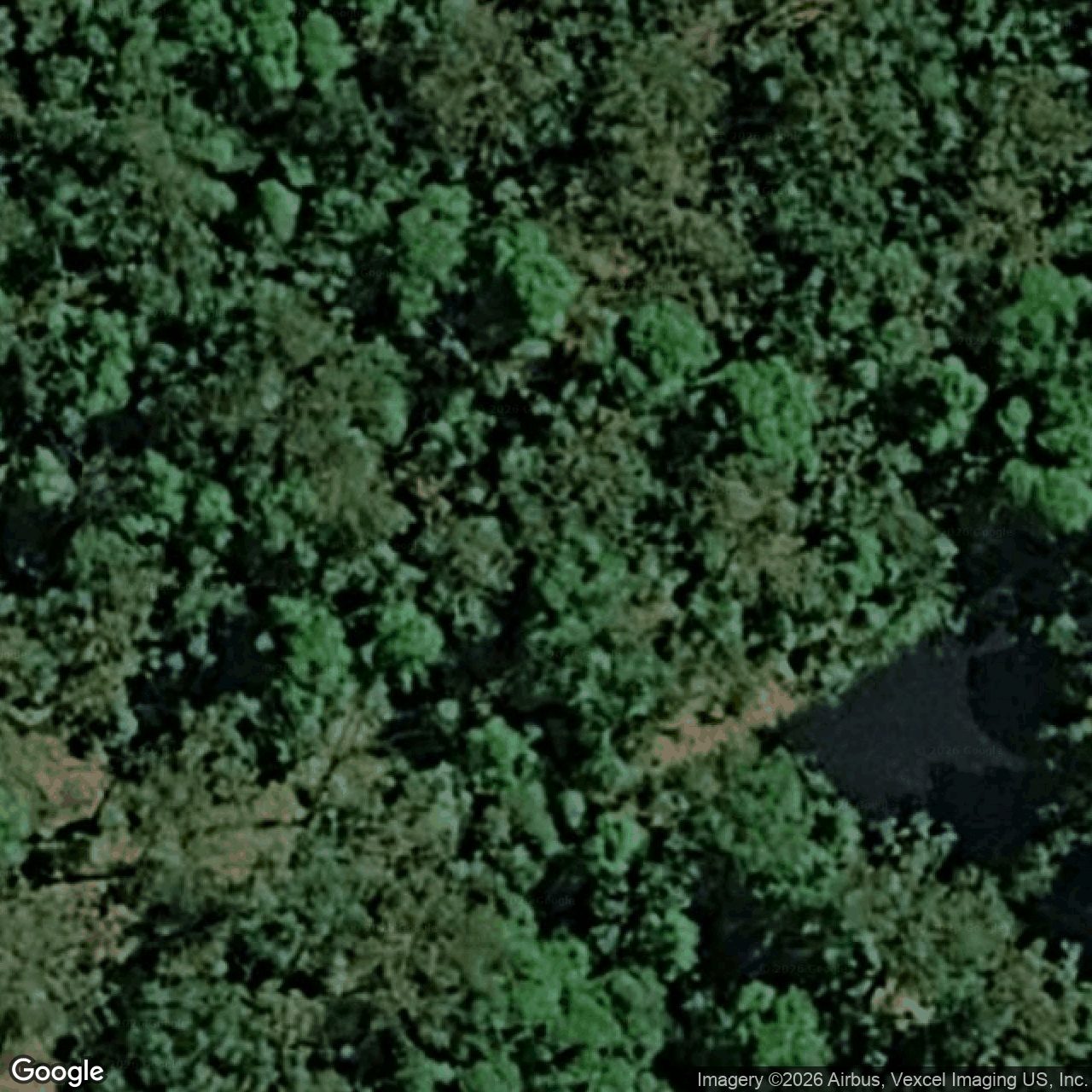 Aerial view of 21 Fowler Court, Bonogin QLD 4213