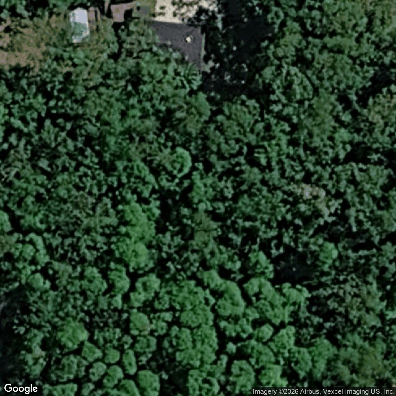 Aerial view of 2 Honeysuckle Lane, Bonogin QLD 4213