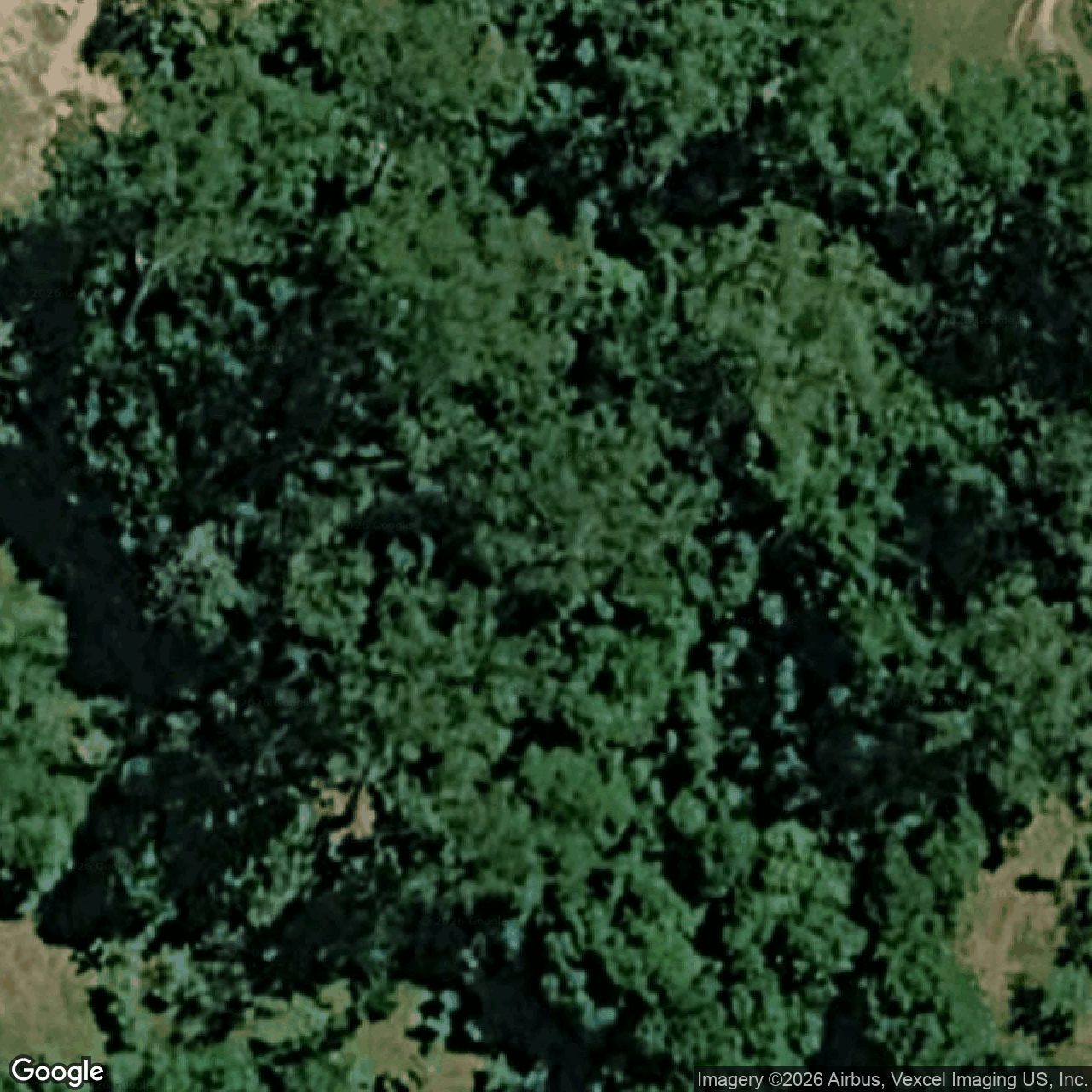 Aerial view of 91 Davenport Drive, Bonogin QLD 4213