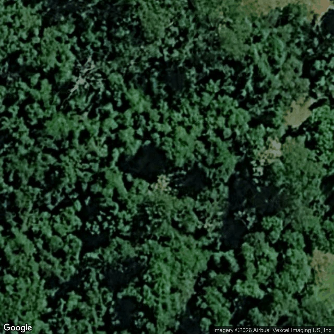 Aerial view of 103 Davenport Drive, Bonogin QLD 4213