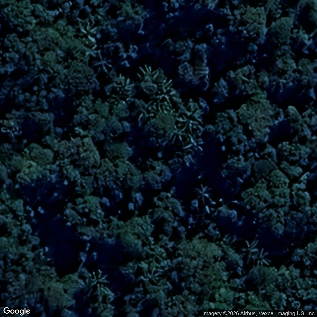 Aerial view of 1526 Currumbin Creek Road, Currumbin Valley QLD 4223