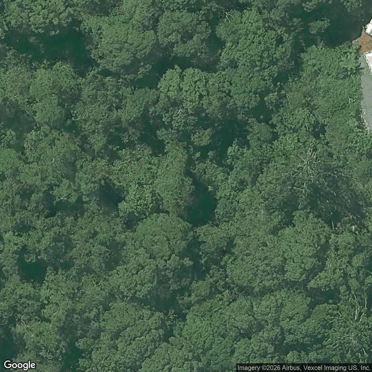 Aerial view of 36 Durobby Drive, Currumbin Valley QLD 4223