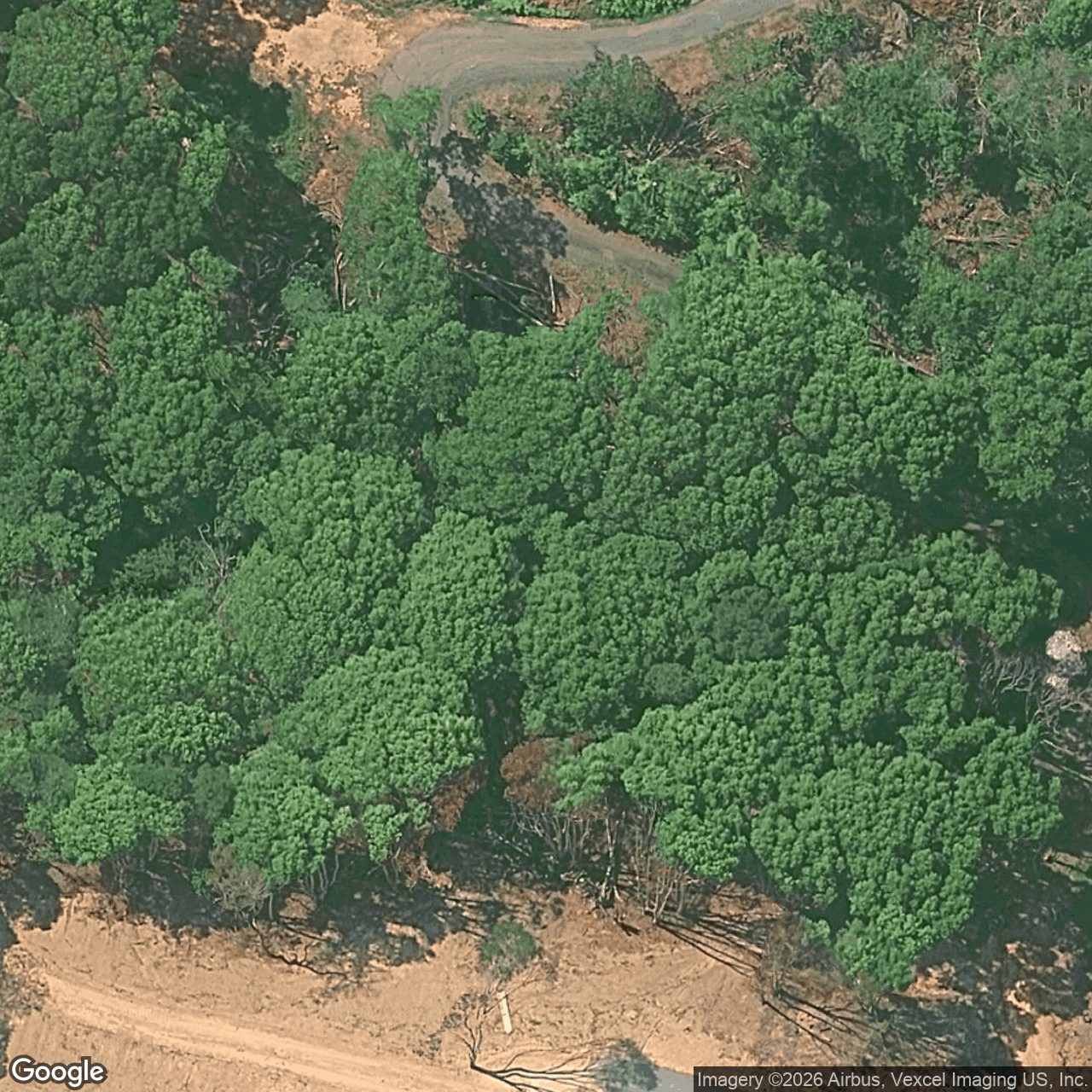 Aerial view of 46 Fordyce Close, Currumbin Valley QLD 4223
