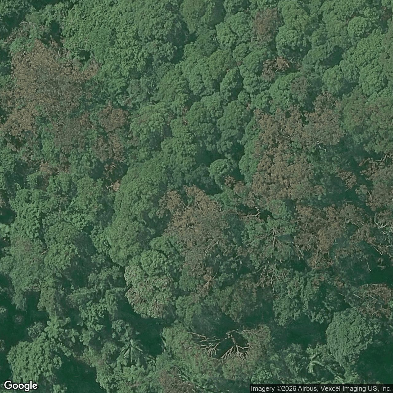 Aerial view of 154 Tomewin Mountain Road, Currumbin Valley QLD 4223