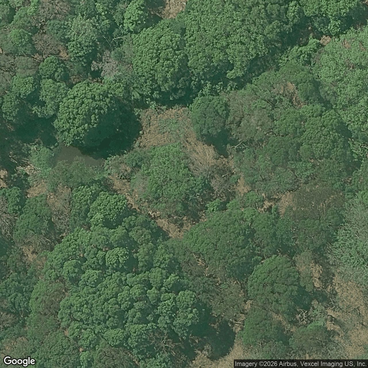 Aerial view of 147 Tomewin Mountain Road, Currumbin Valley QLD 4223