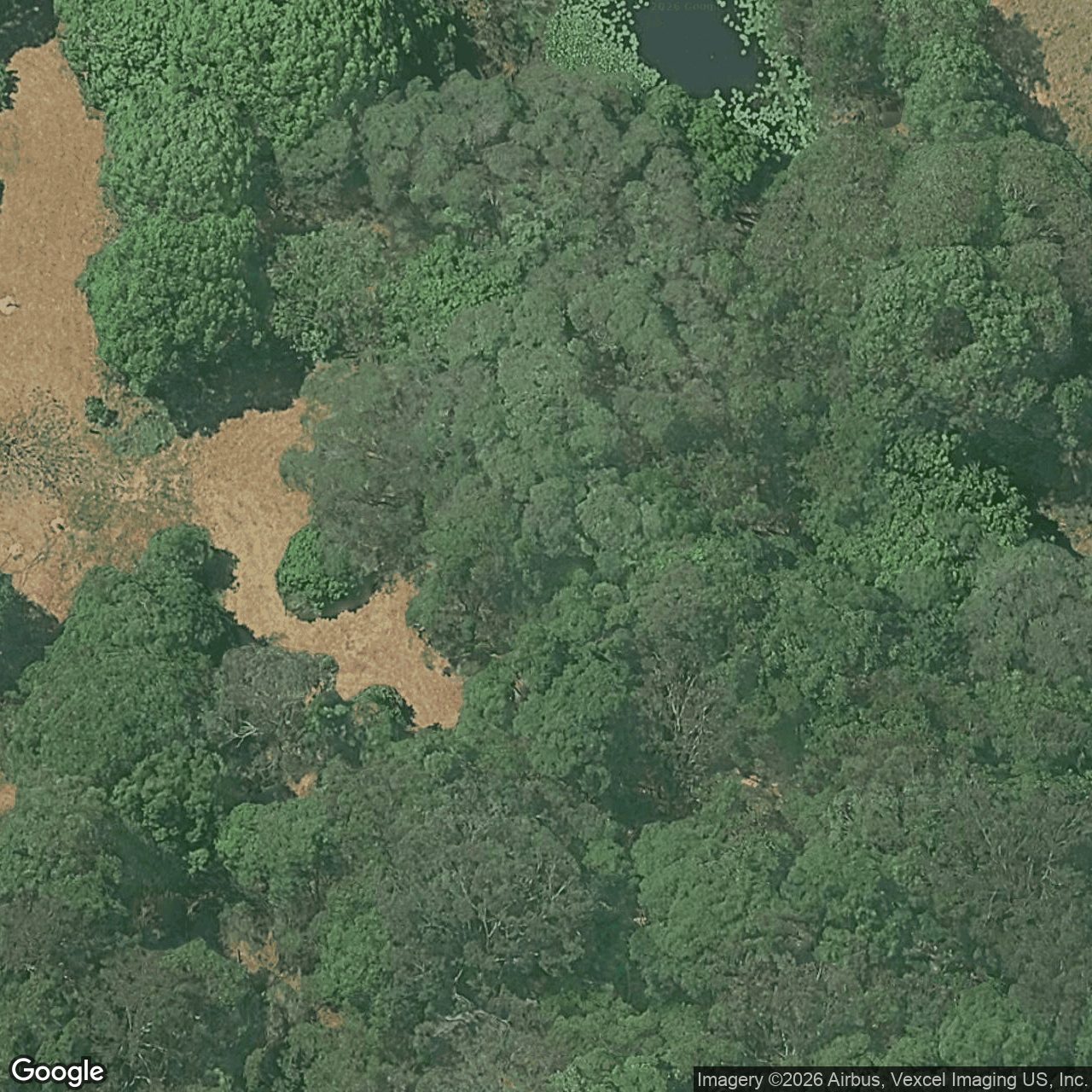 Aerial view of 99 Tomewin Mountain Road, Currumbin Valley QLD 4223
