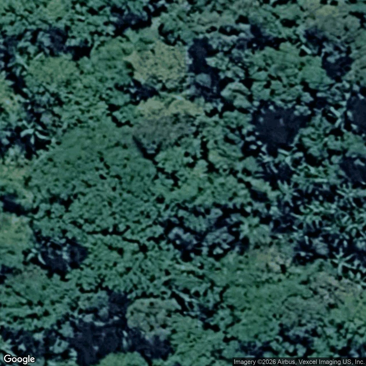 Aerial view of 1813 Currumbin Creek Road, Currumbin Valley QLD 4223