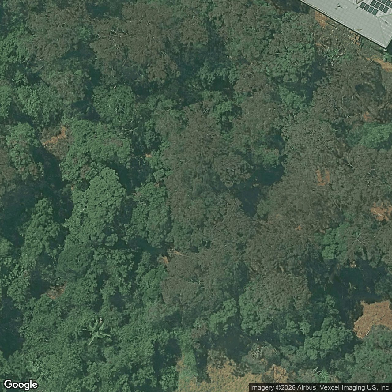 Aerial view of 26 Wattlebird Court, Currumbin Valley QLD 4223