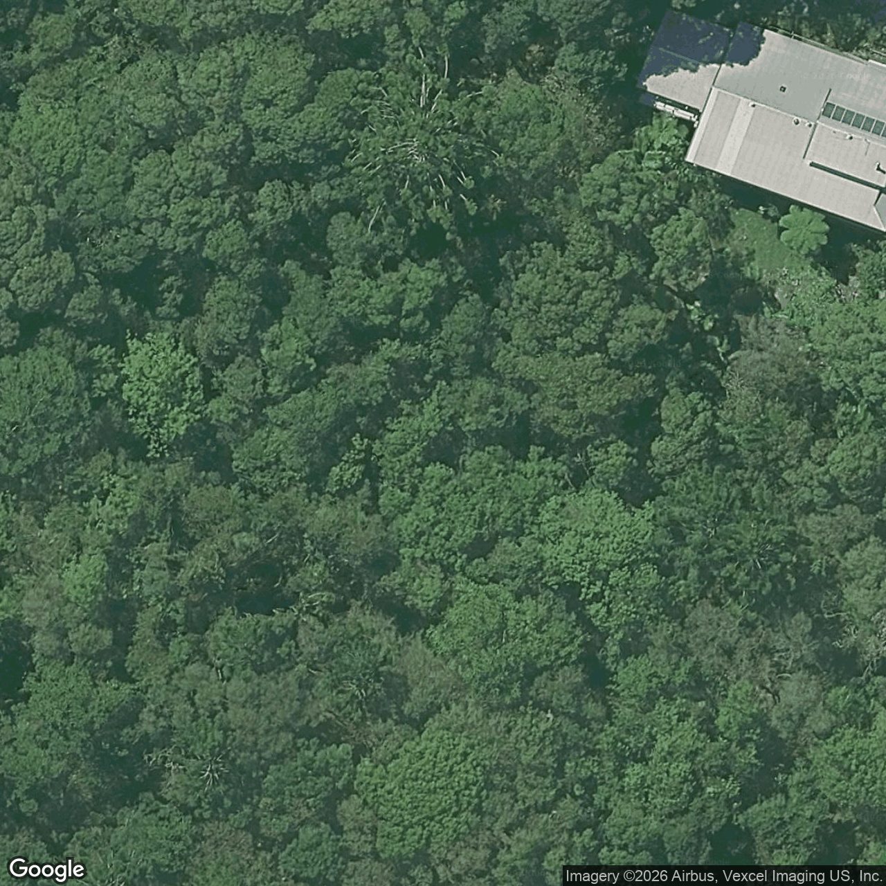 Aerial view of 32 Durobby Drive, Currumbin Valley QLD 4223