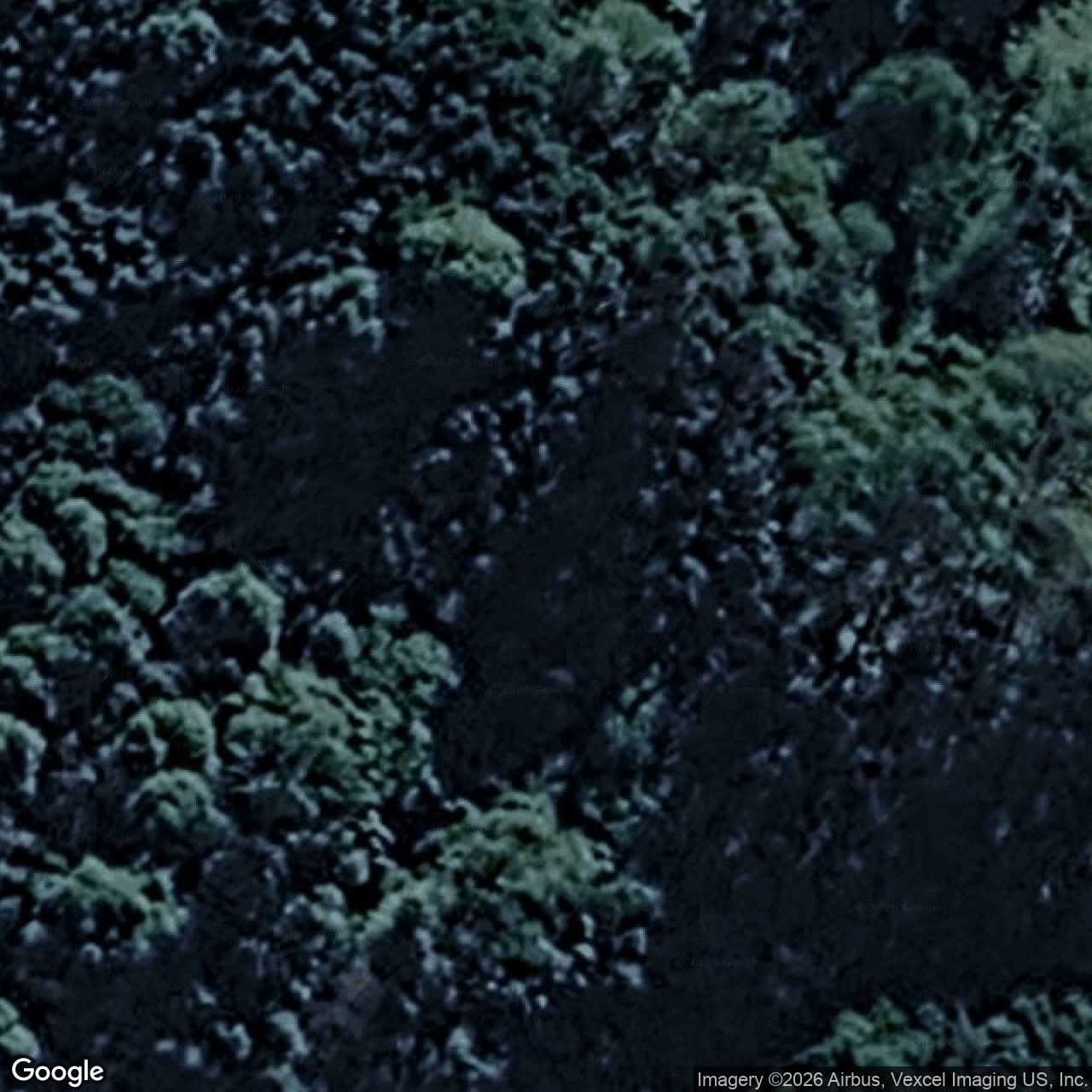 Aerial view of 1262 Currumbin Creek Road, Currumbin Valley QLD 4223