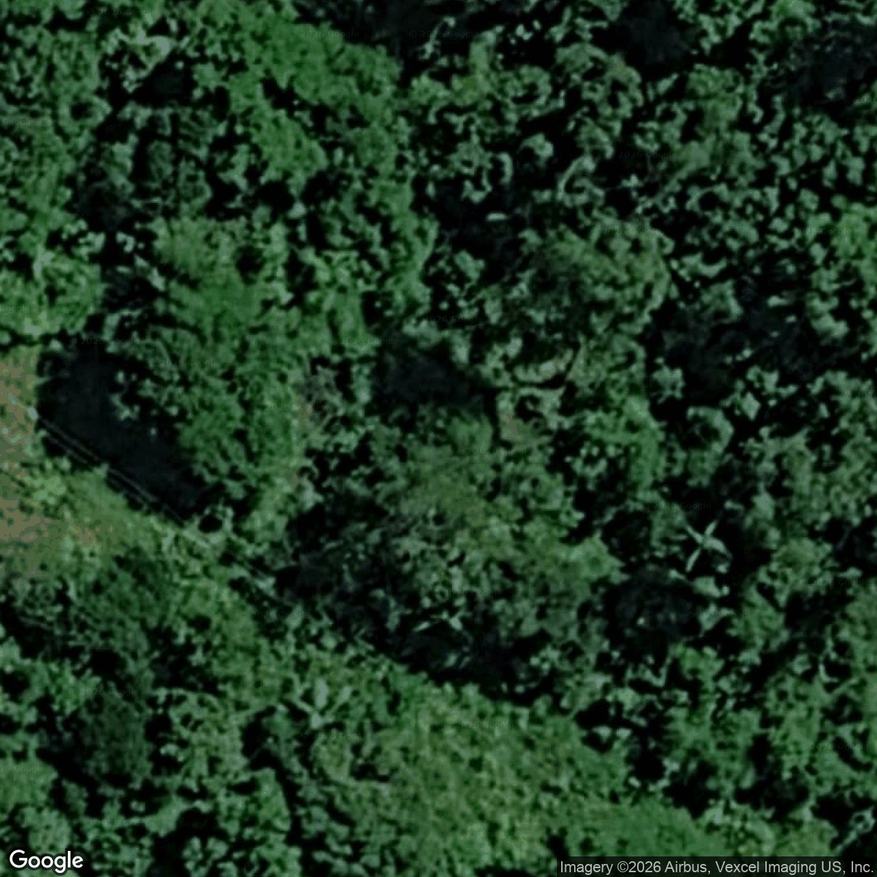 Aerial view of 1440 Currumbin Creek Road, Currumbin Valley QLD 4223
