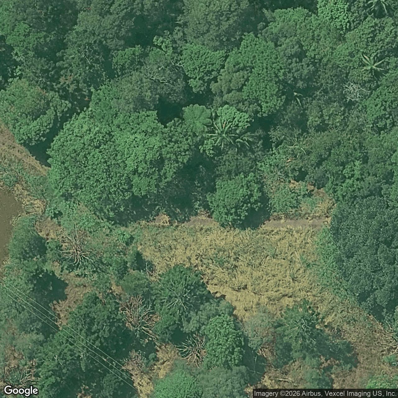 Aerial view of 59 Tomewin Mountain Road, Currumbin Valley QLD 4223