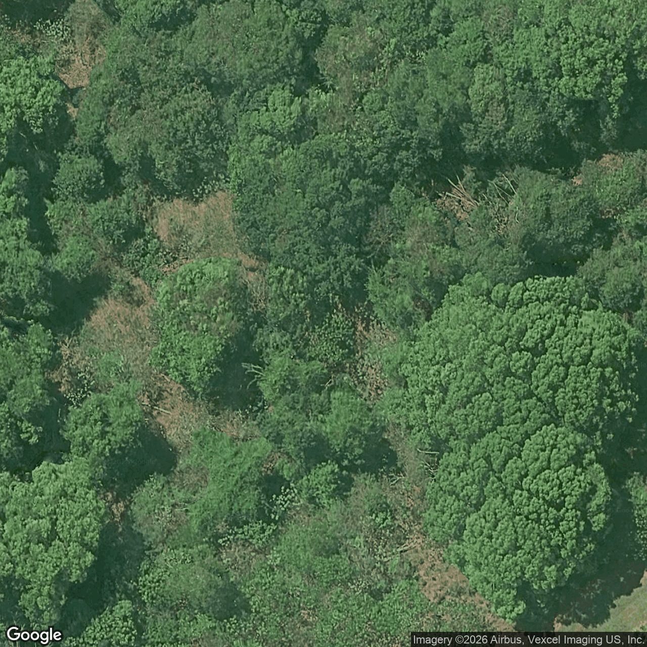 Aerial view of 58 Brocks Road, Currumbin Valley QLD 4223
