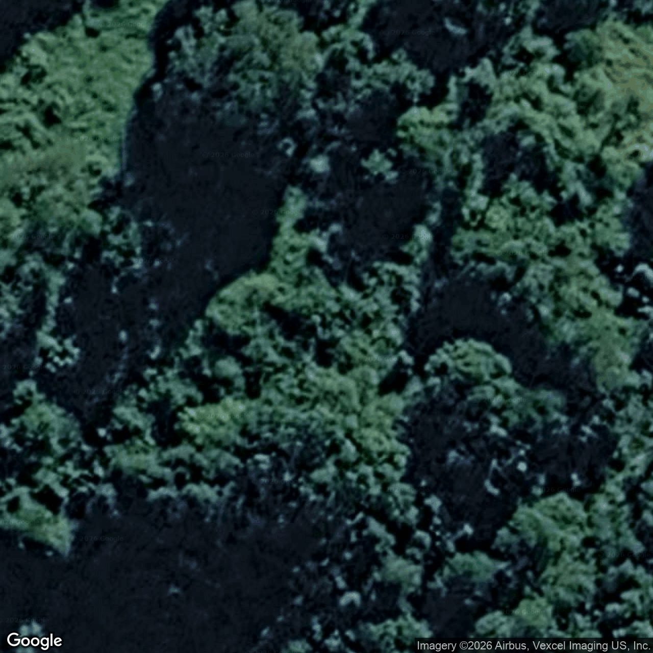 Aerial view of 73 Estelle Road, Currumbin Valley QLD 4223