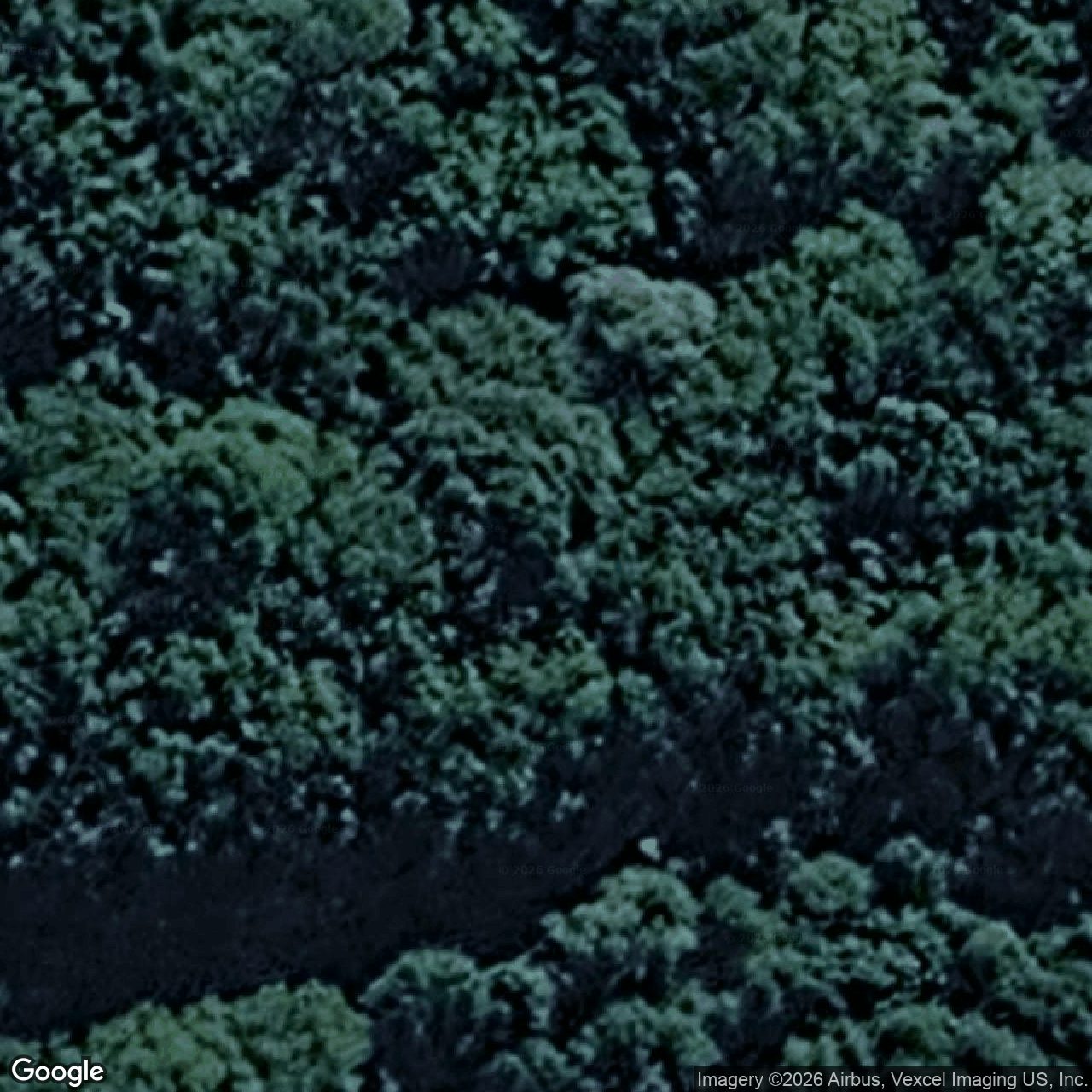 Aerial view of 43 Estelle Road, Currumbin Valley QLD 4223