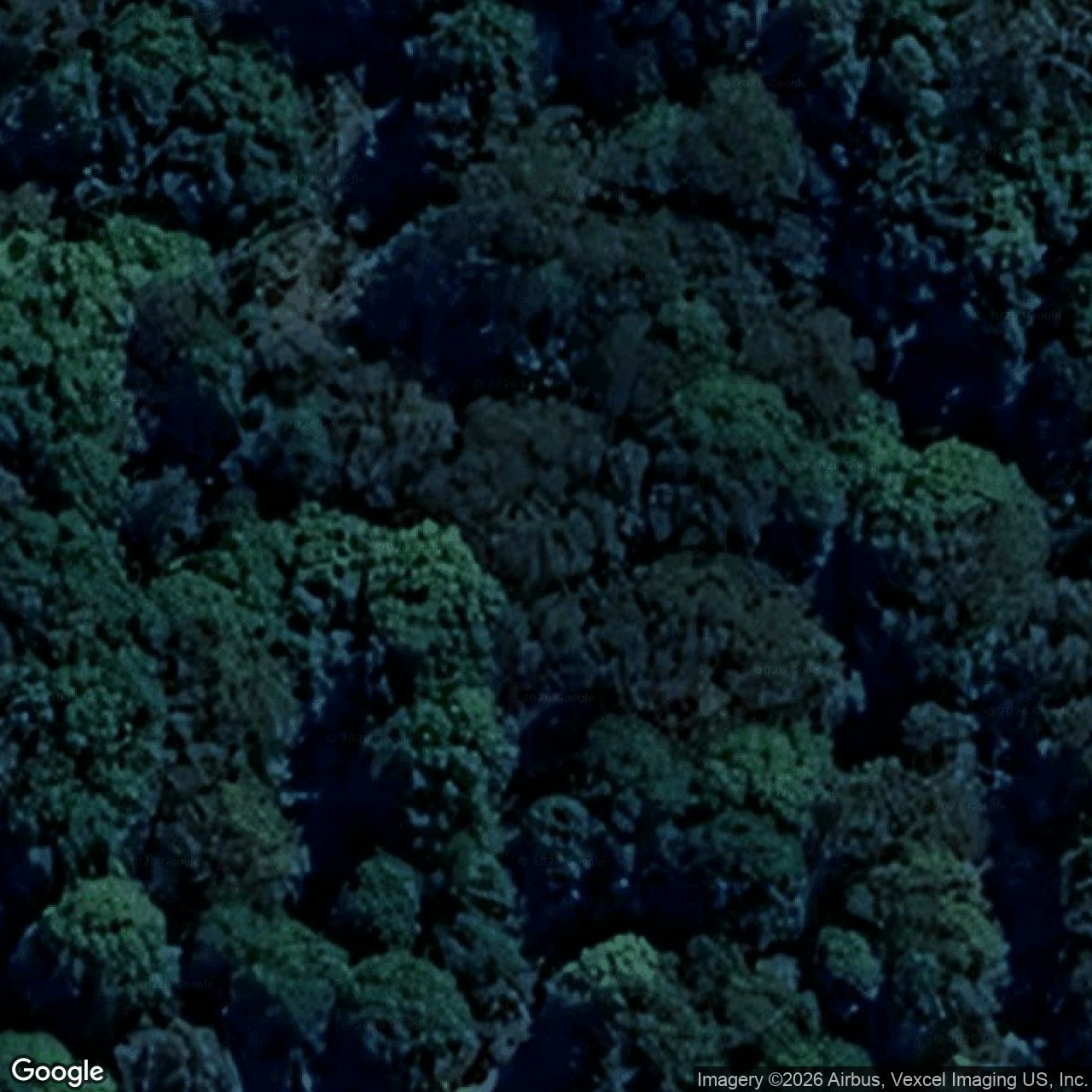 Aerial view of 1433 Currumbin Creek Road, Currumbin Valley QLD 4223