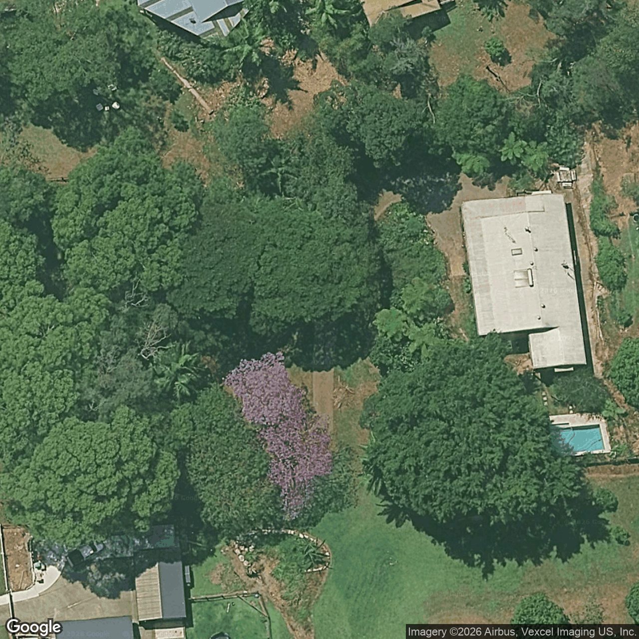 Aerial view of 8 Lindwall Place, Currumbin Valley QLD 4223