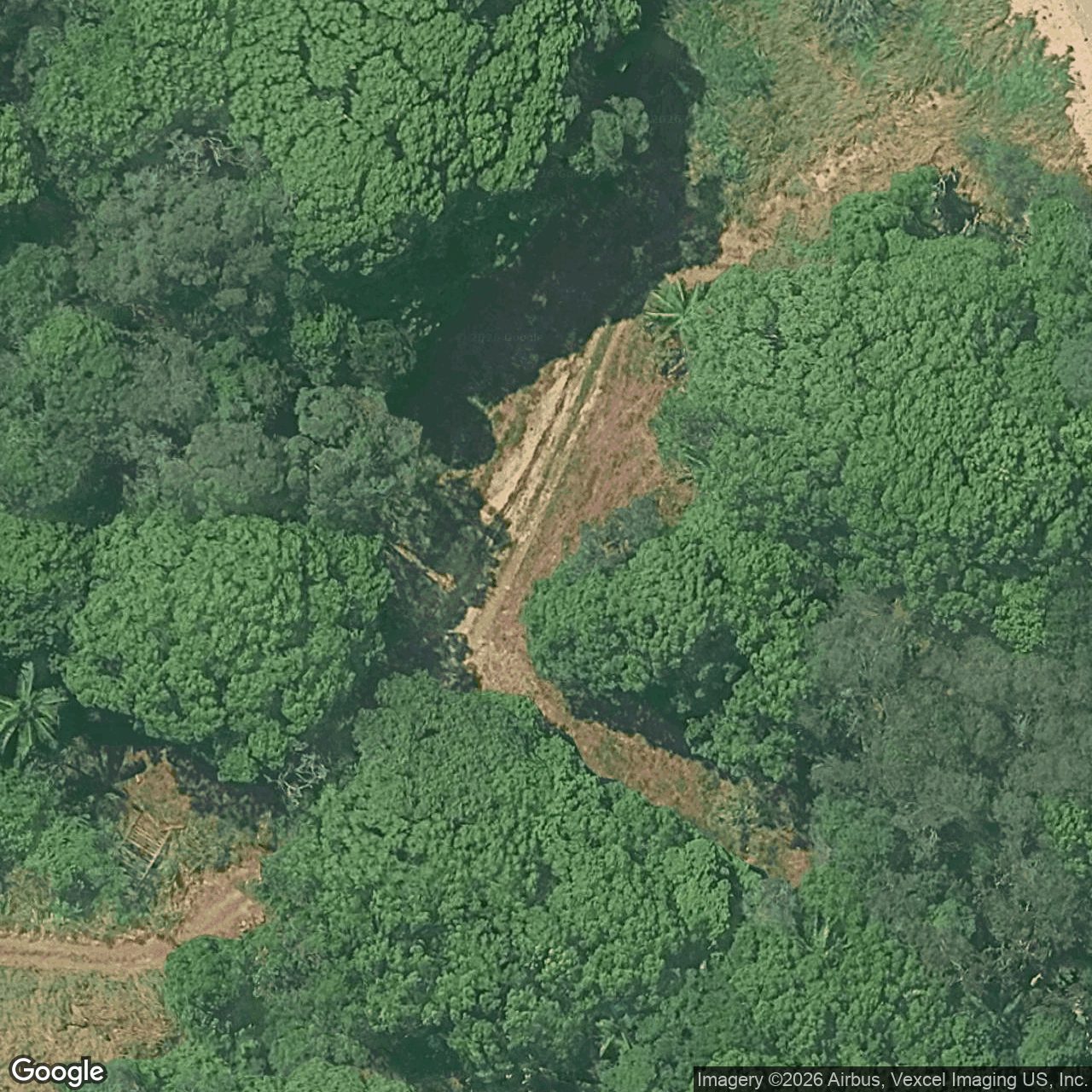 Aerial view of 746 Currumbin Creek Road, Currumbin Valley QLD 4223