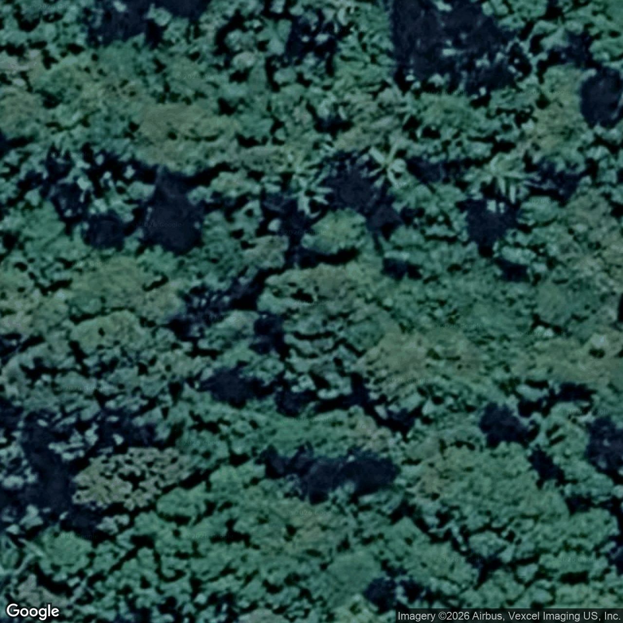Aerial view of 1596 Currumbin Creek Road, Currumbin Valley QLD 4223