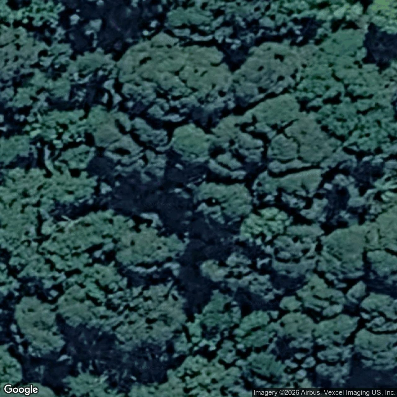Aerial view of 1544 Currumbin Creek Road, Currumbin Valley QLD 4223
