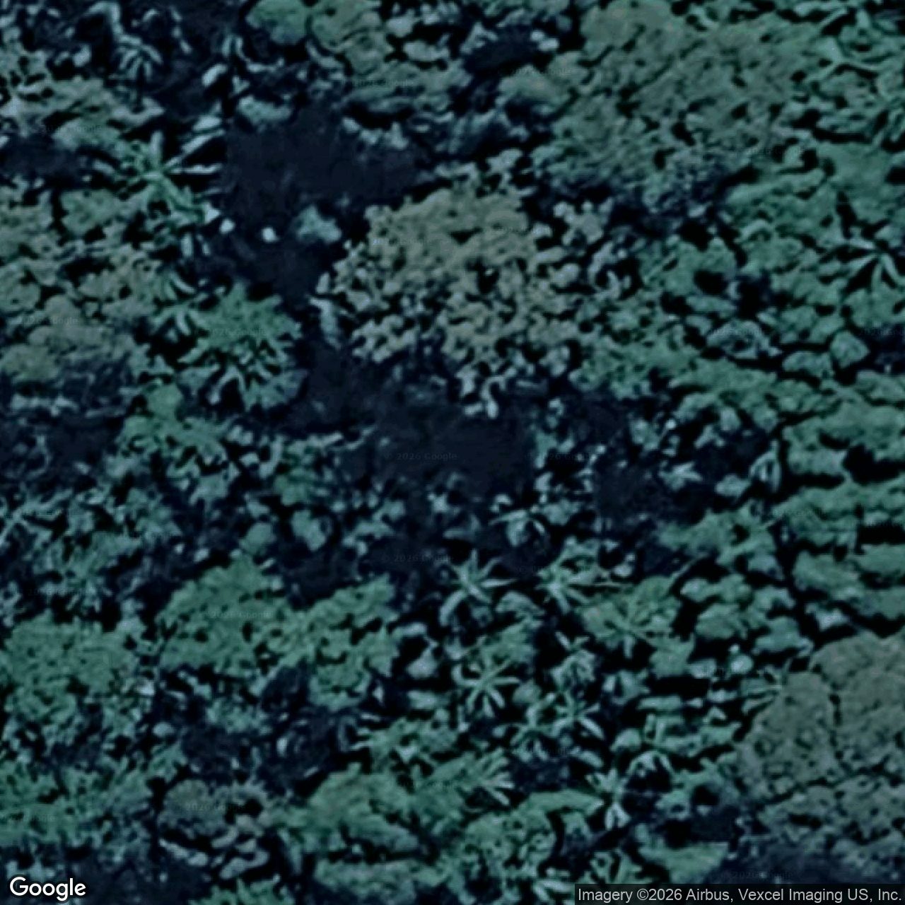 Aerial view of 1786 Currumbin Creek Road, Currumbin Valley QLD 4223