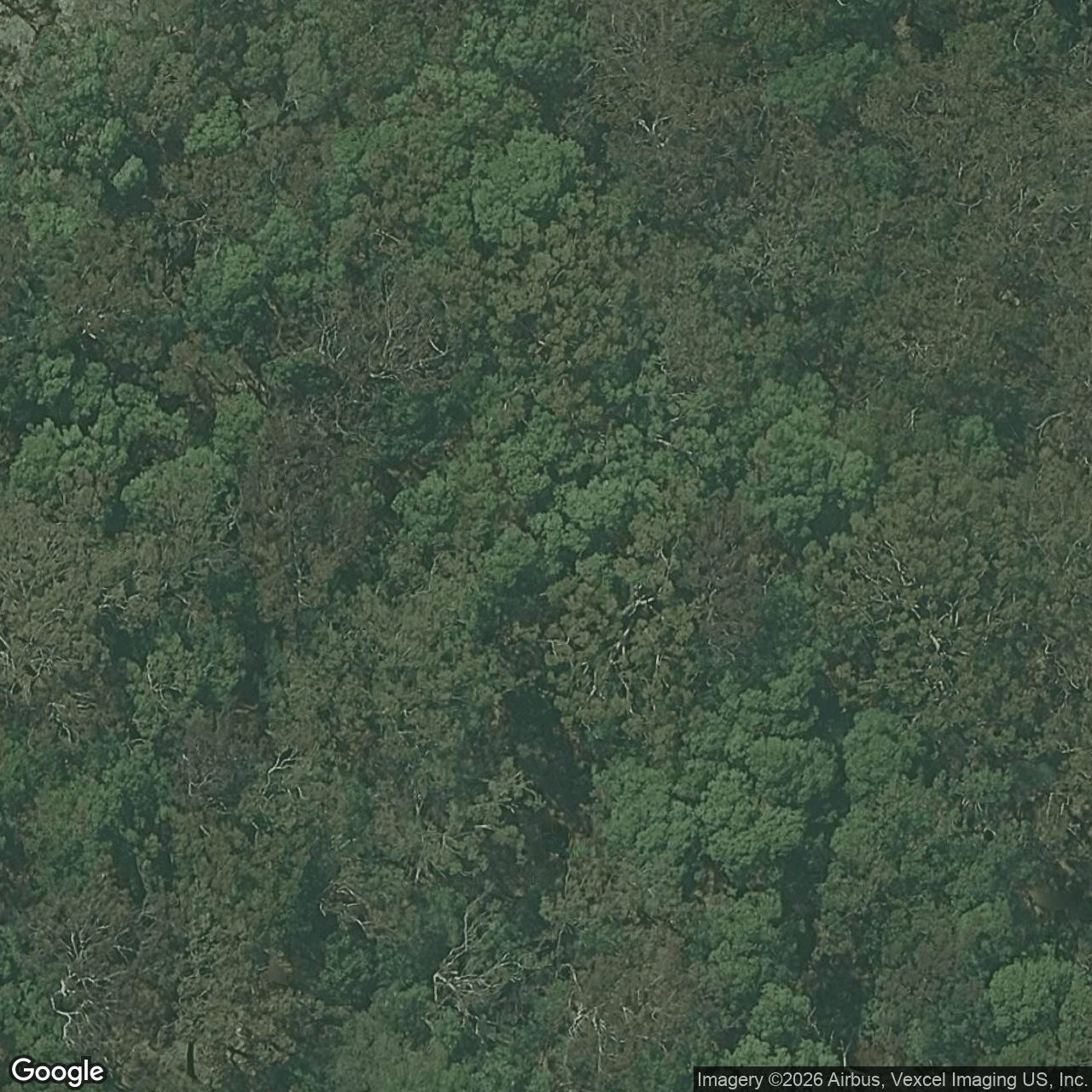 Aerial view of 210 Simpsons Road, Currumbin Waters QLD 4223